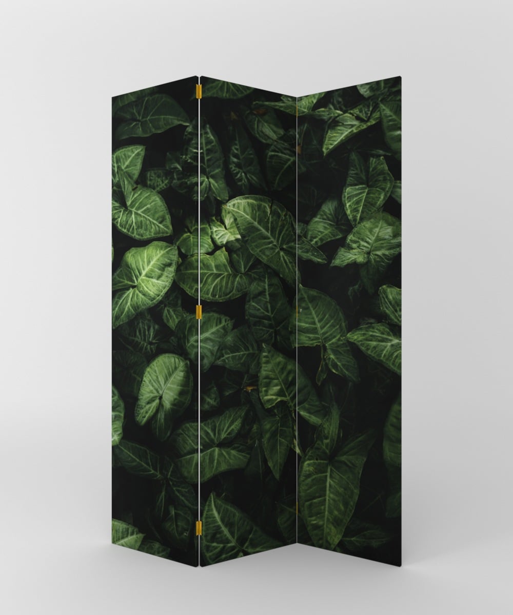 PARABAN TROPICAL VERDE