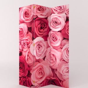 PARABAN ROSAS