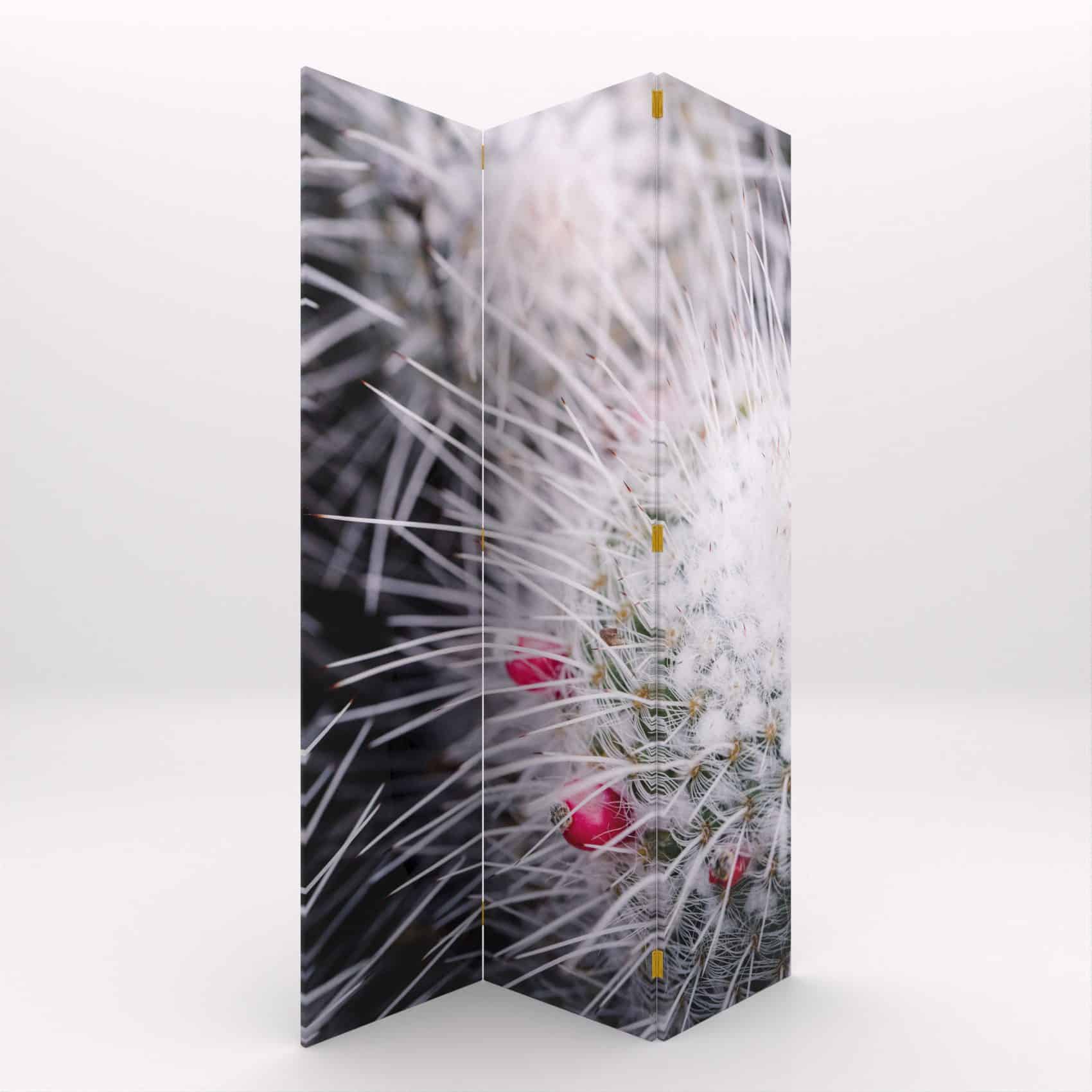 PARABAN CACTUS