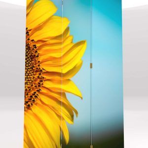 PARABAN GIRASOL